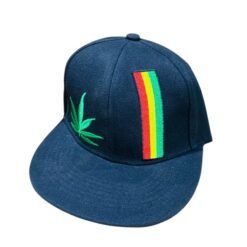 BUDEEZ SNAPBACK HAT