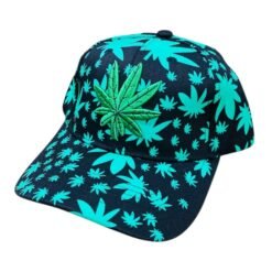 BUDEEZ SNAPBACK HAT