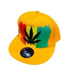 BUDEEZ SNAPBACK HAT